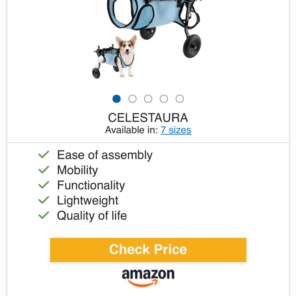 Blue Dog Wheelchair size small